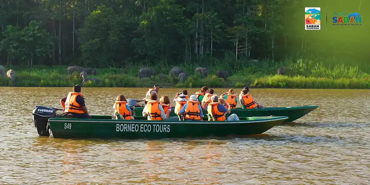 Borneo Family Adventure: Wildlife & Kota Kinabalu Charm